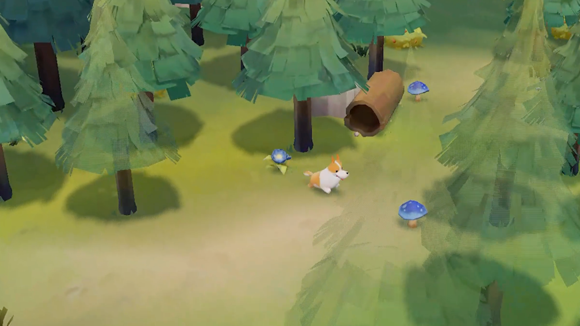 HomeStray_Image05 HomeStray_img05